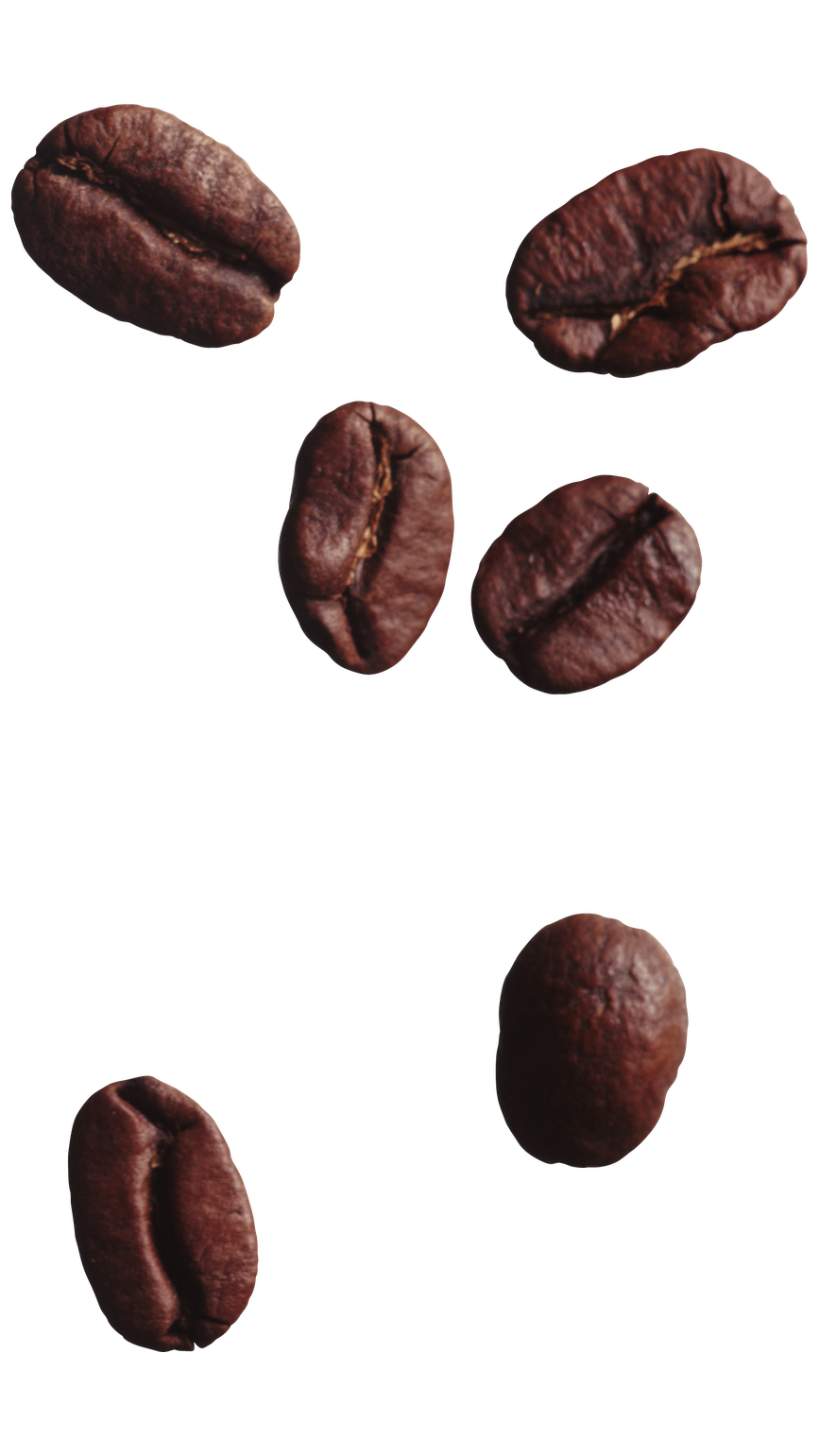 coffee bean image