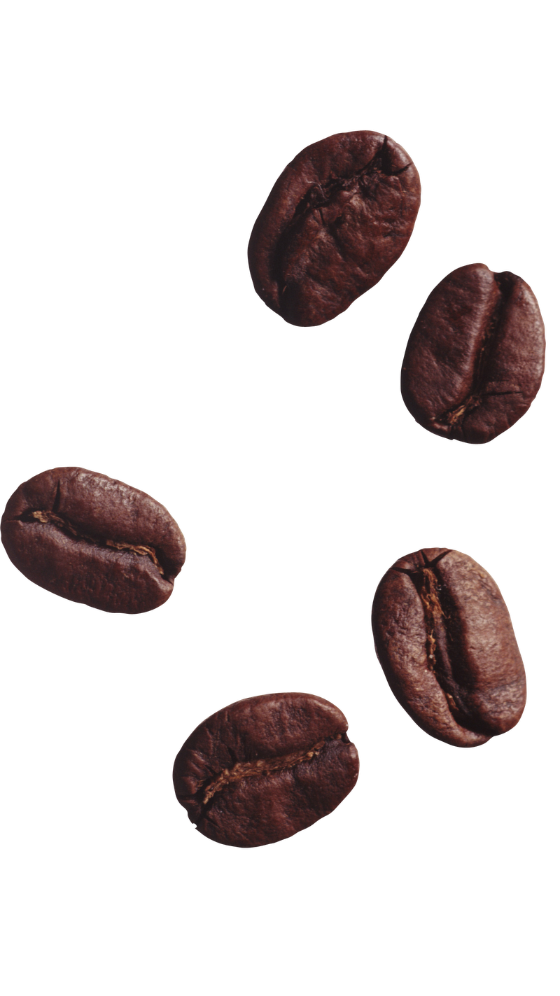 coffee bean image